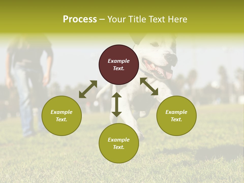 Green Activity Sunlight PowerPoint Template