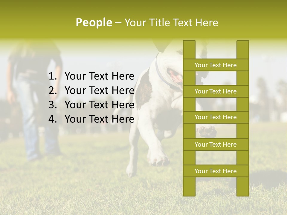 Green Activity Sunlight PowerPoint Template