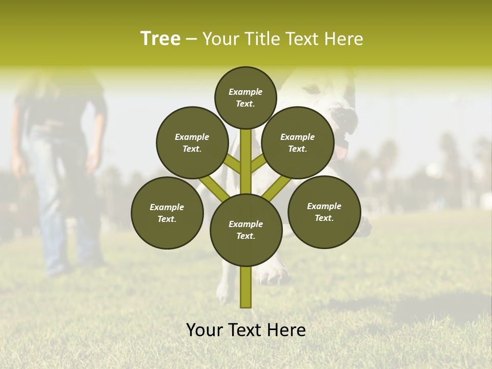 Green Activity Sunlight PowerPoint Template