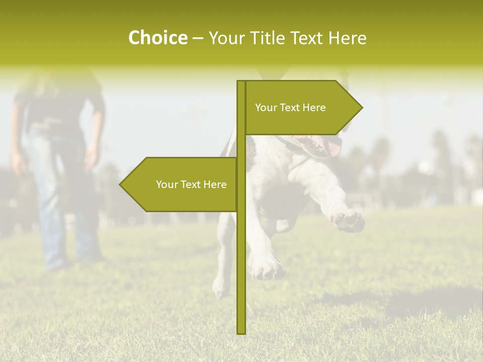 Green Activity Sunlight PowerPoint Template