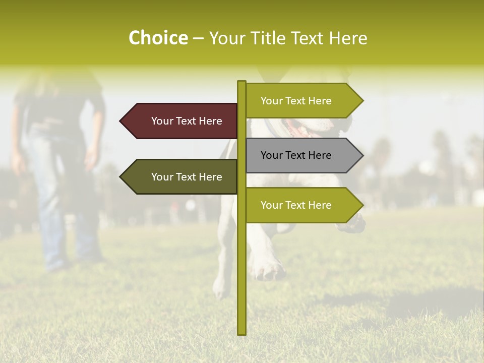 Green Activity Sunlight PowerPoint Template