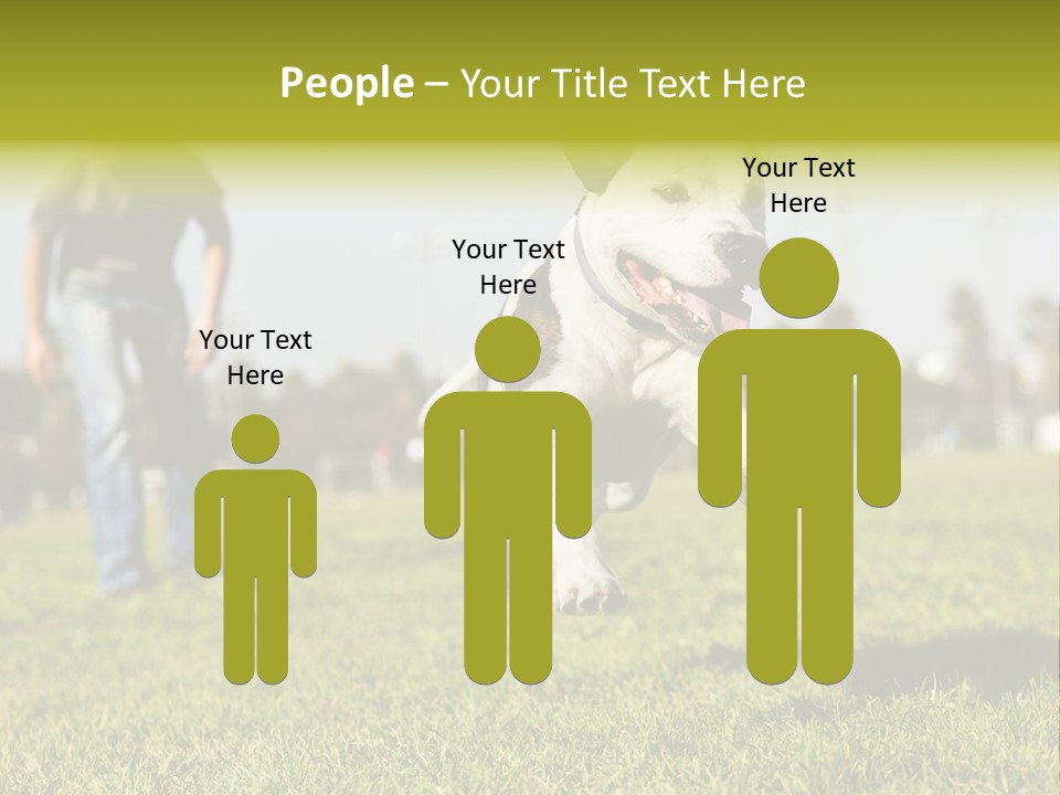 Green Activity Sunlight PowerPoint Template