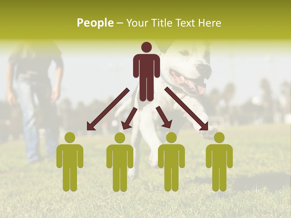 Green Activity Sunlight PowerPoint Template