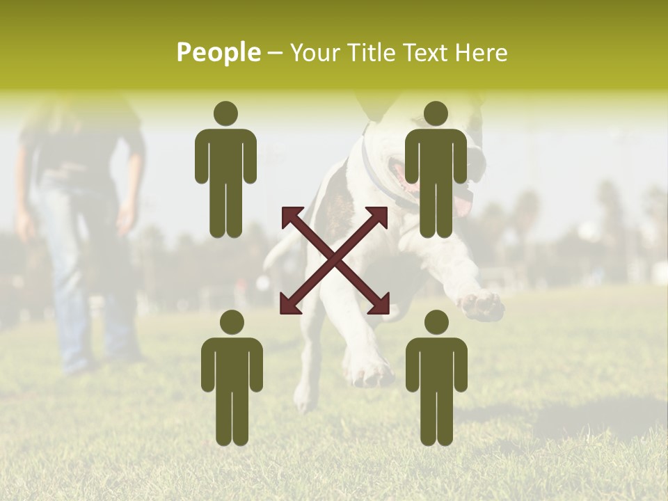 Green Activity Sunlight PowerPoint Template