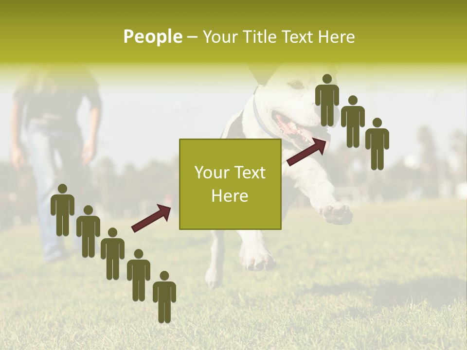 Green Activity Sunlight PowerPoint Template