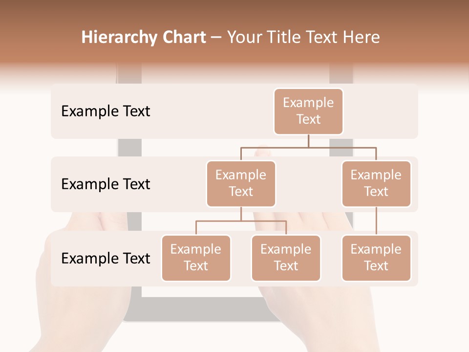 Organizer Woman Background PowerPoint Template