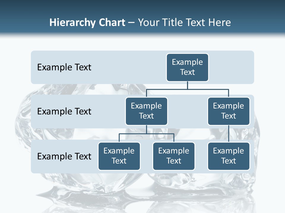 Reflection Macro Food PowerPoint Template