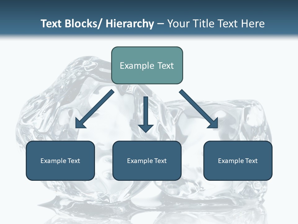 Reflection Macro Food PowerPoint Template