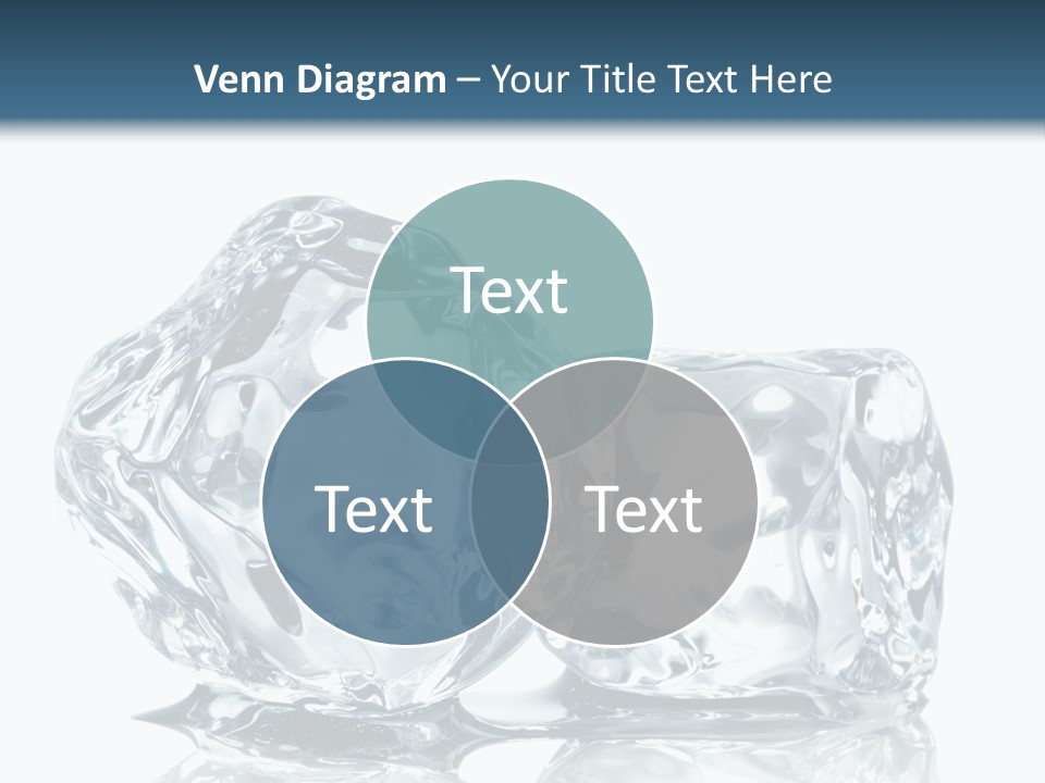 Reflection Macro Food PowerPoint Template