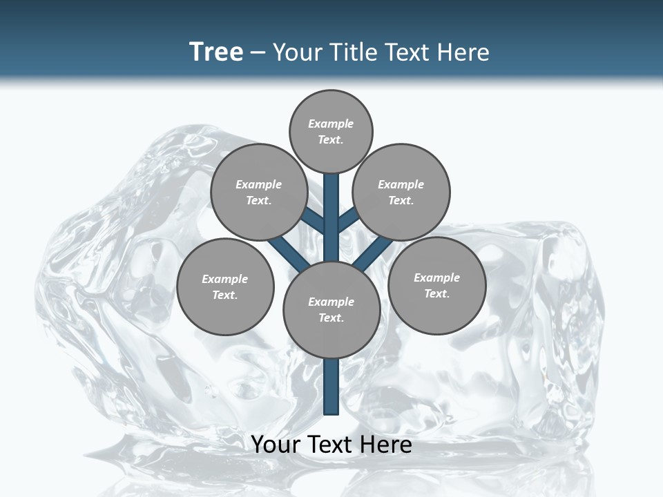 Reflection Macro Food PowerPoint Template