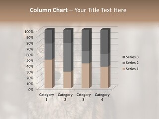 Grey Wolf Outside Canis PowerPoint Template