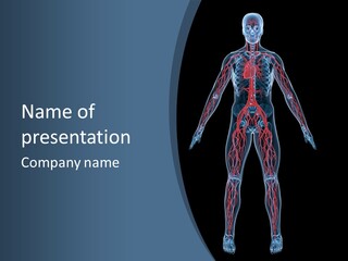 Science Anatomical Healthy PowerPoint Template