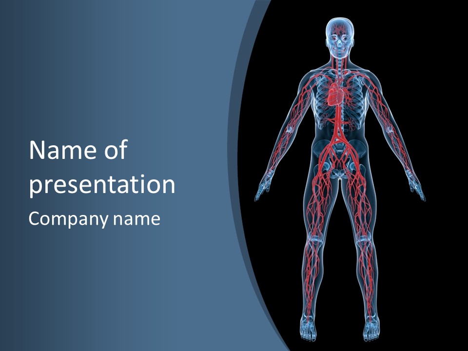 Science Anatomical Healthy PowerPoint Template