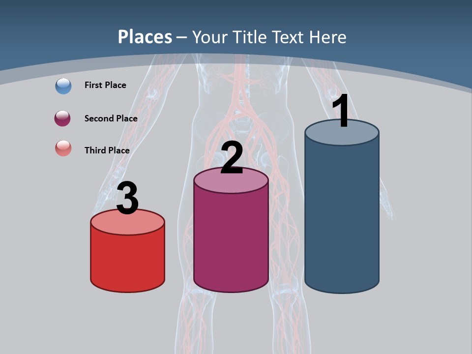 Science Anatomical Healthy PowerPoint Template