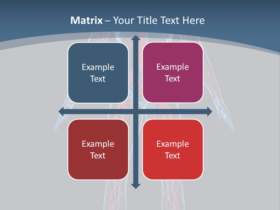 Science Anatomical Healthy PowerPoint Template