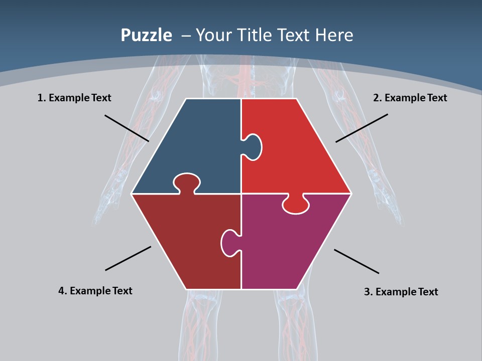 Science Anatomical Healthy PowerPoint Template