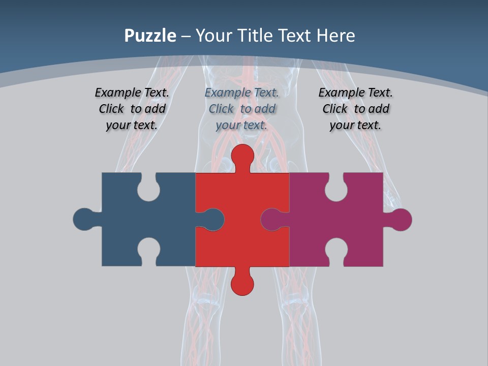 Science Anatomical Healthy PowerPoint Template