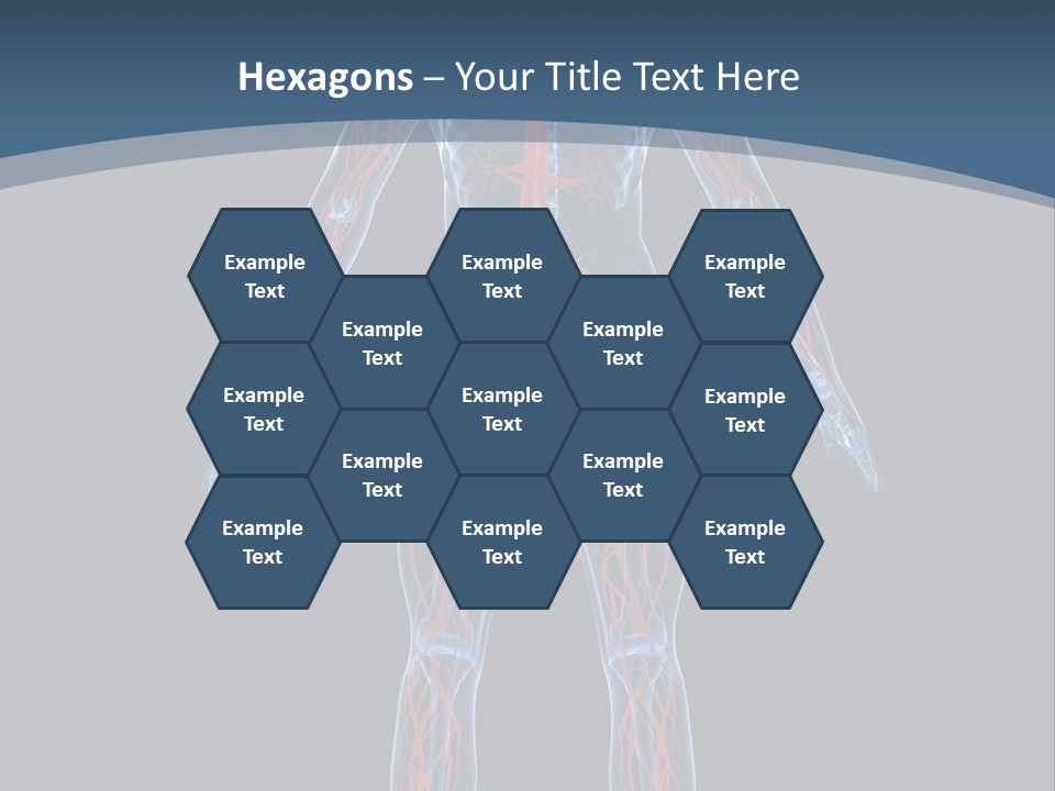 Science Anatomical Healthy PowerPoint Template