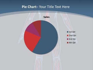 Science Anatomical Healthy PowerPoint Template