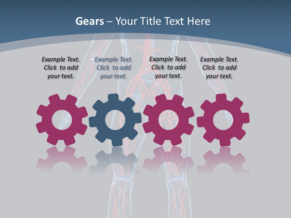 Science Anatomical Healthy PowerPoint Template