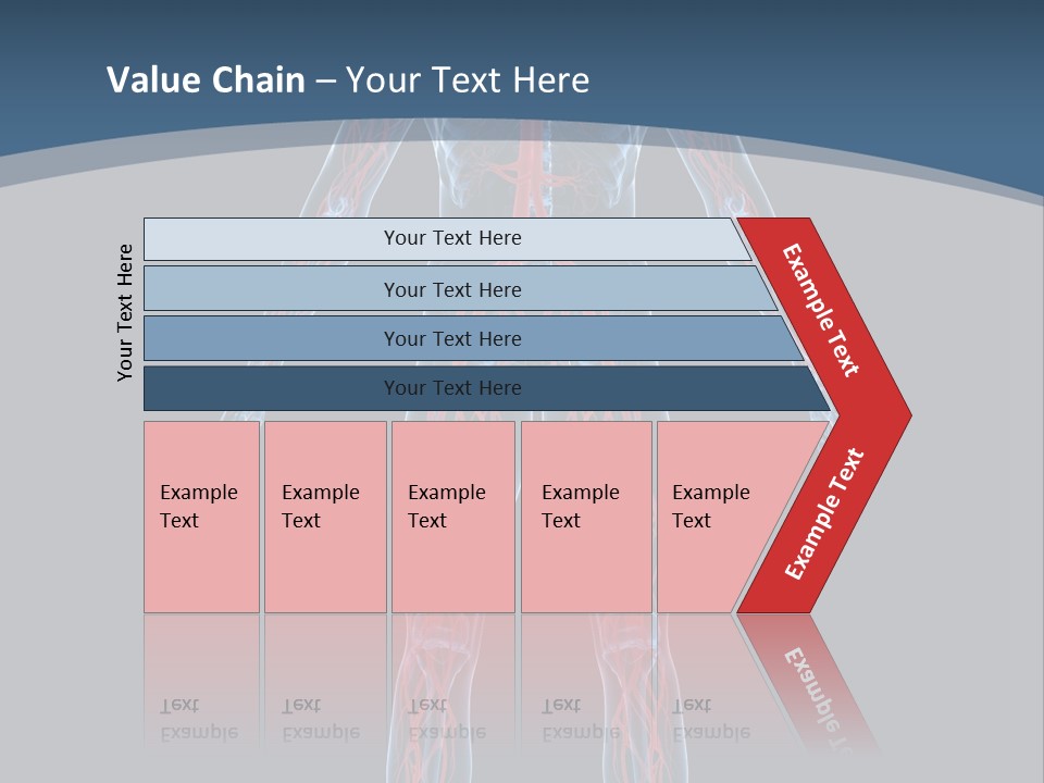 Science Anatomical Healthy PowerPoint Template