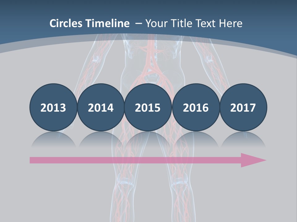 Science Anatomical Healthy PowerPoint Template