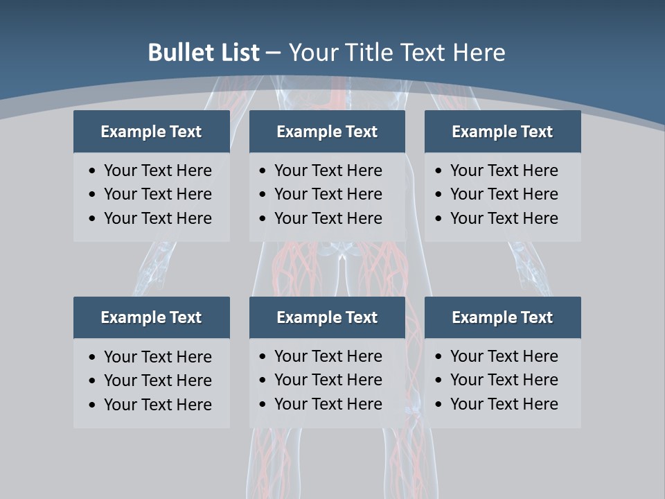 Science Anatomical Healthy PowerPoint Template