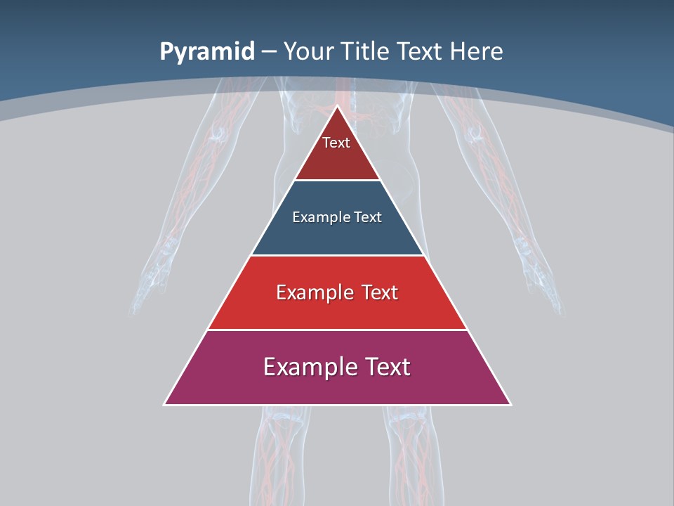 Science Anatomical Healthy PowerPoint Template