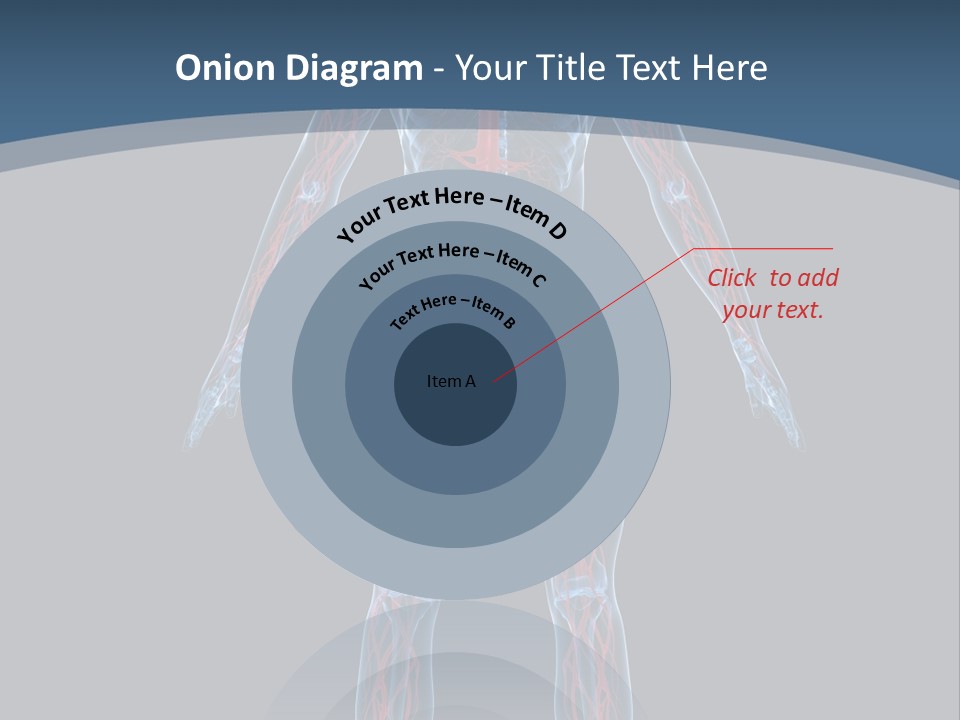 Science Anatomical Healthy PowerPoint Template