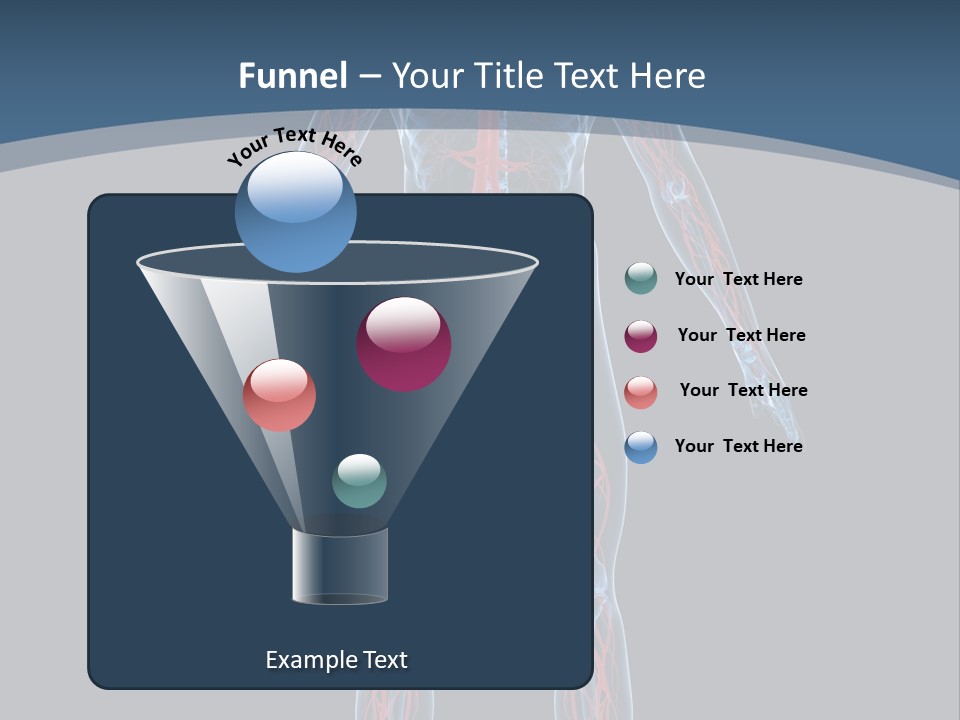 Science Anatomical Healthy PowerPoint Template