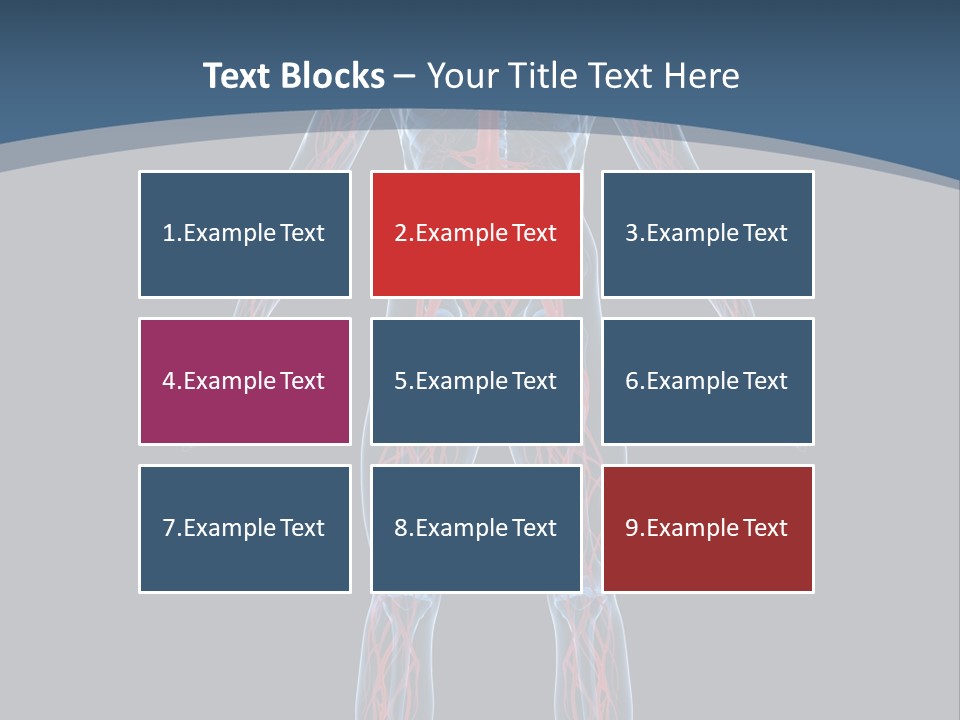 Science Anatomical Healthy PowerPoint Template