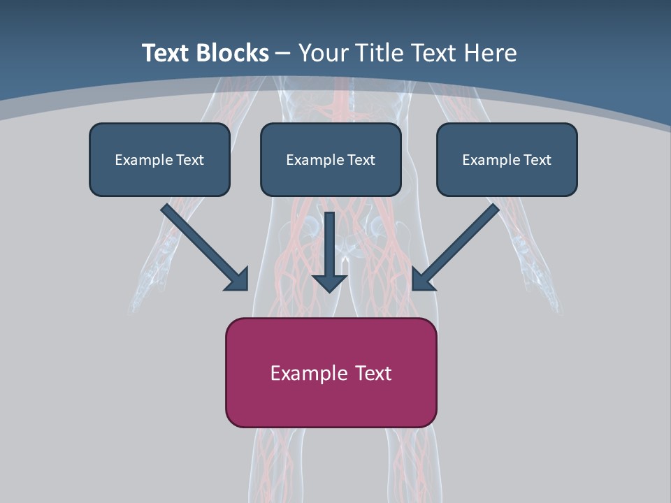 Science Anatomical Healthy PowerPoint Template