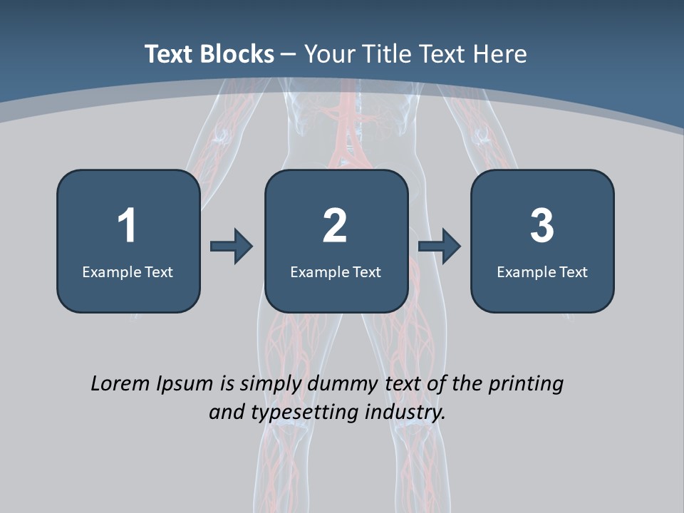 Science Anatomical Healthy PowerPoint Template