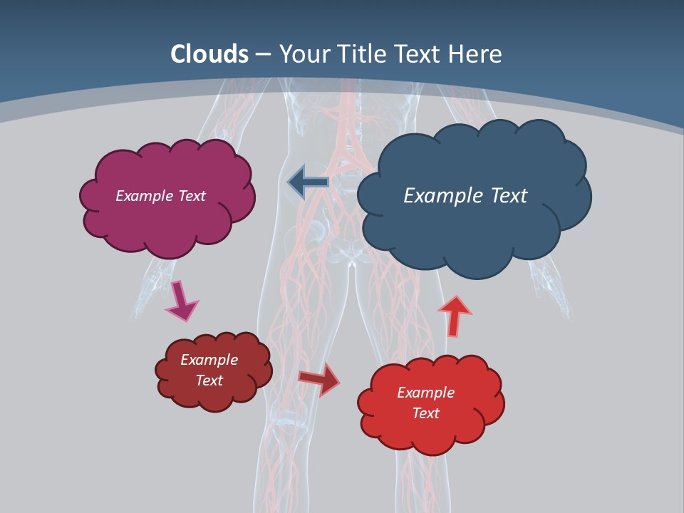 Science Anatomical Healthy PowerPoint Template
