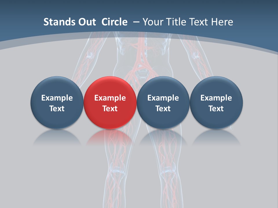 Science Anatomical Healthy PowerPoint Template