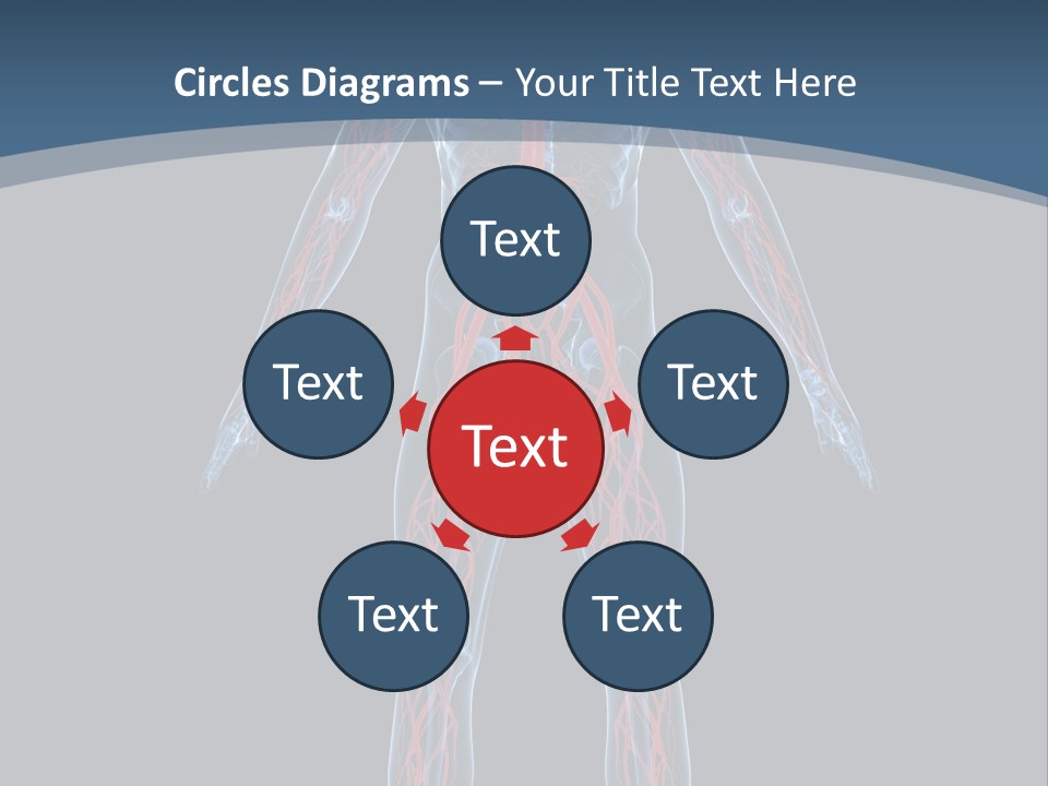 Science Anatomical Healthy PowerPoint Template
