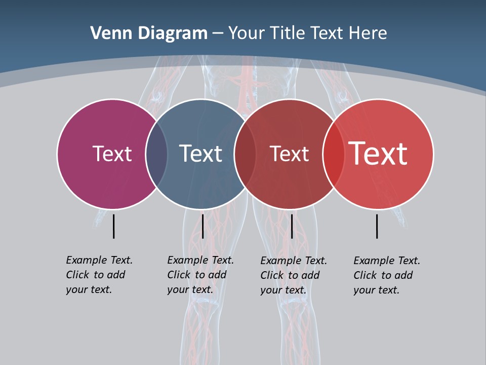 Science Anatomical Healthy PowerPoint Template