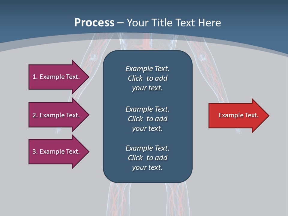 Science Anatomical Healthy PowerPoint Template