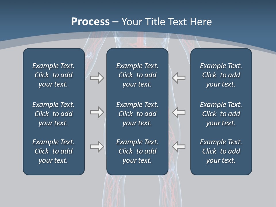 Science Anatomical Healthy PowerPoint Template