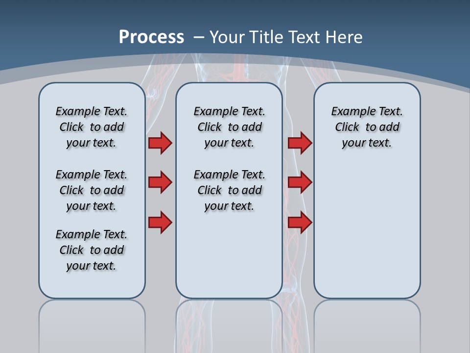 Science Anatomical Healthy PowerPoint Template