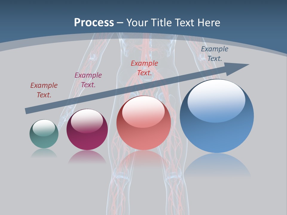 Science Anatomical Healthy PowerPoint Template
