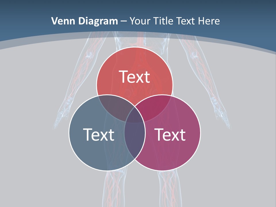 Science Anatomical Healthy PowerPoint Template