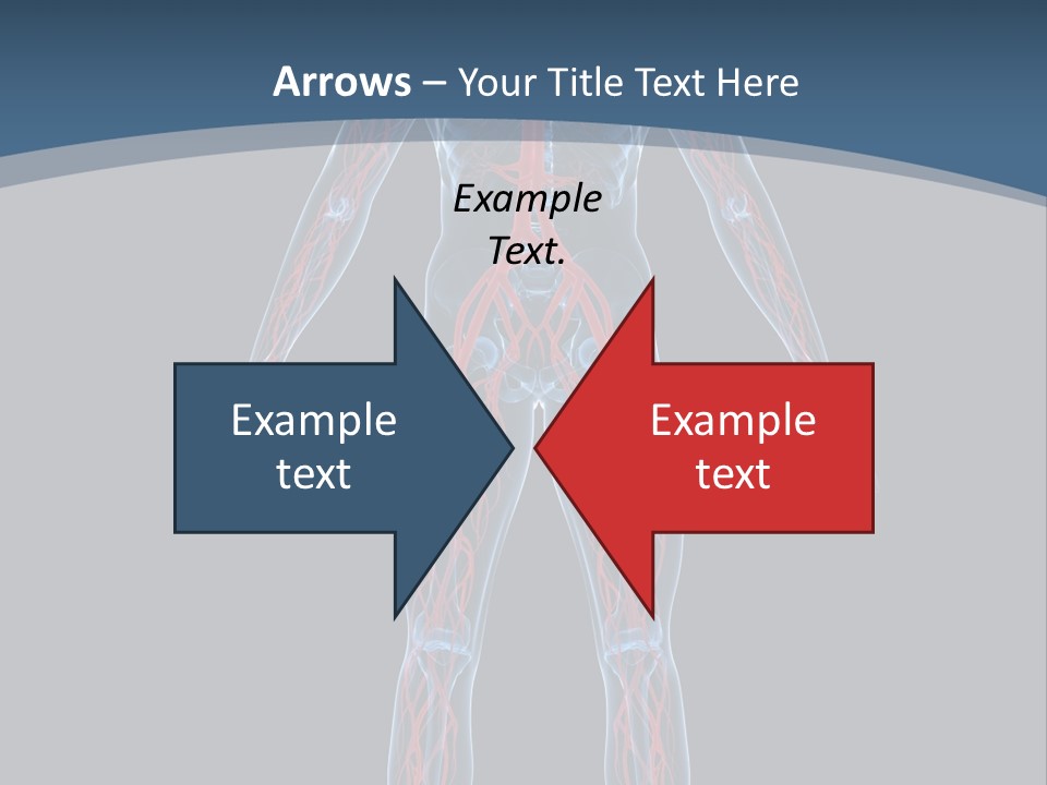 Science Anatomical Healthy PowerPoint Template