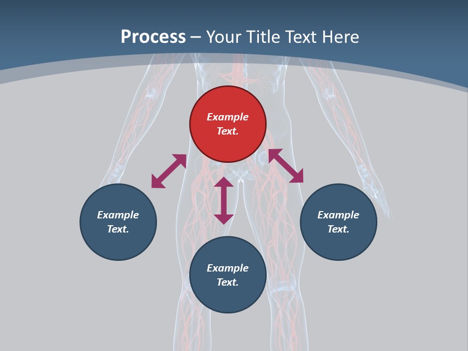 Science Anatomical Healthy PowerPoint Template