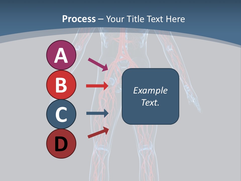 Science Anatomical Healthy PowerPoint Template