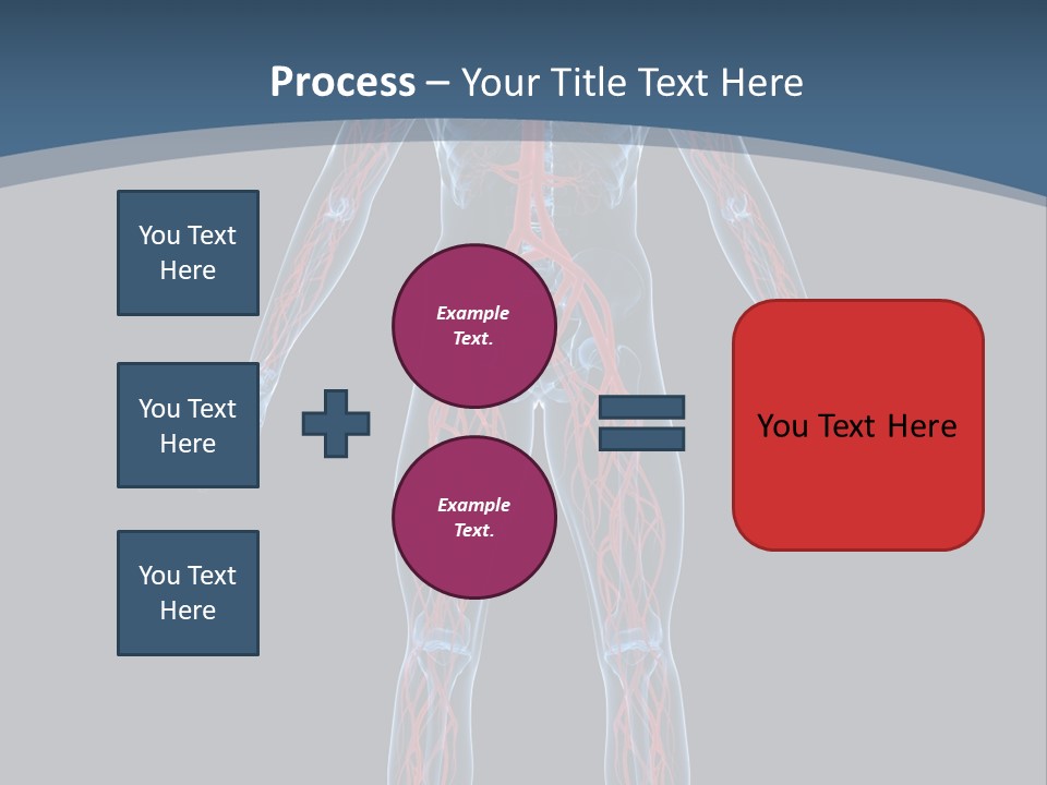Science Anatomical Healthy PowerPoint Template