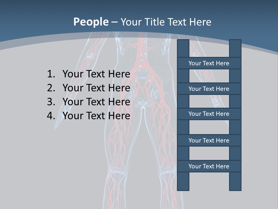 Science Anatomical Healthy PowerPoint Template