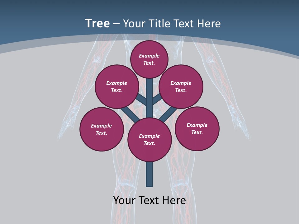Science Anatomical Healthy PowerPoint Template