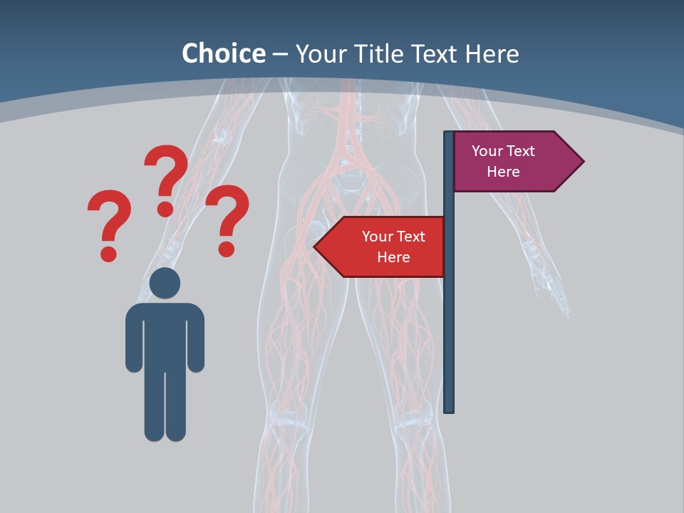 Science Anatomical Healthy PowerPoint Template