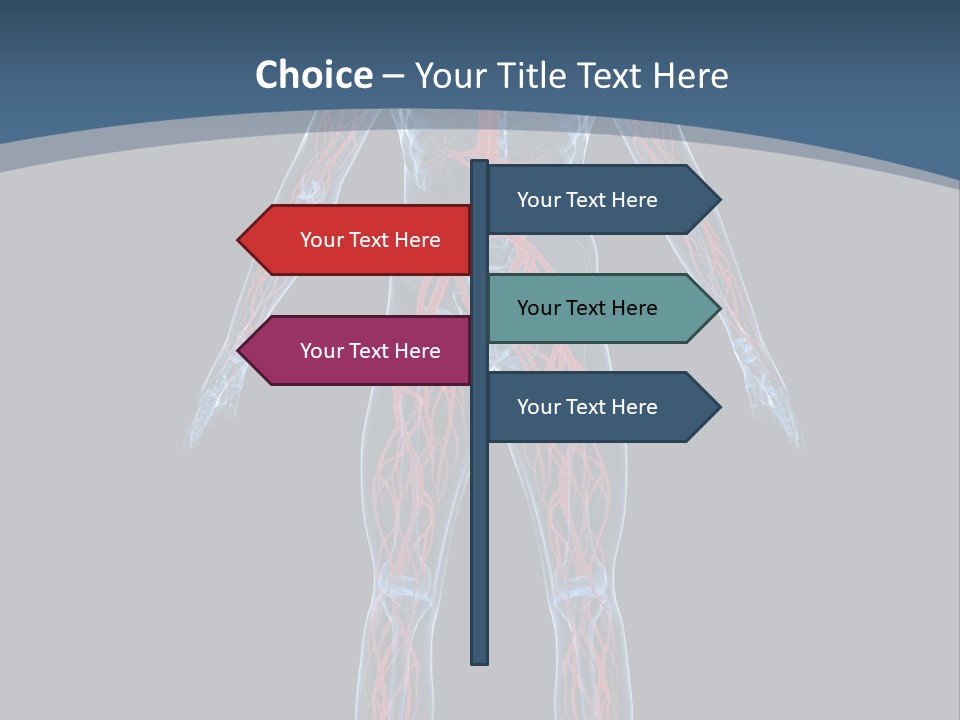 Science Anatomical Healthy PowerPoint Template